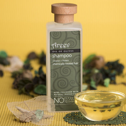 Bath And Beyond - Oil Of Olives Shampoo