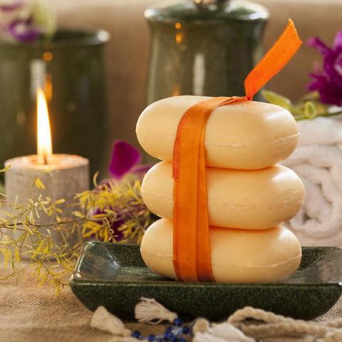 Bath And Beyond - Sandalwood Cauvery Premium Soap
