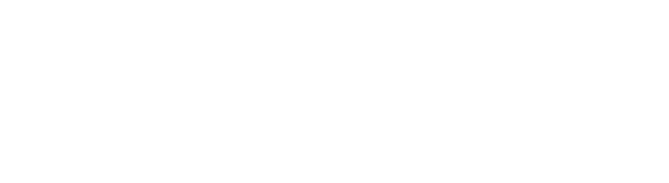 Test Store 2016